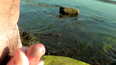 Sarkanmate, Misūri štata sieva, kaila visiem